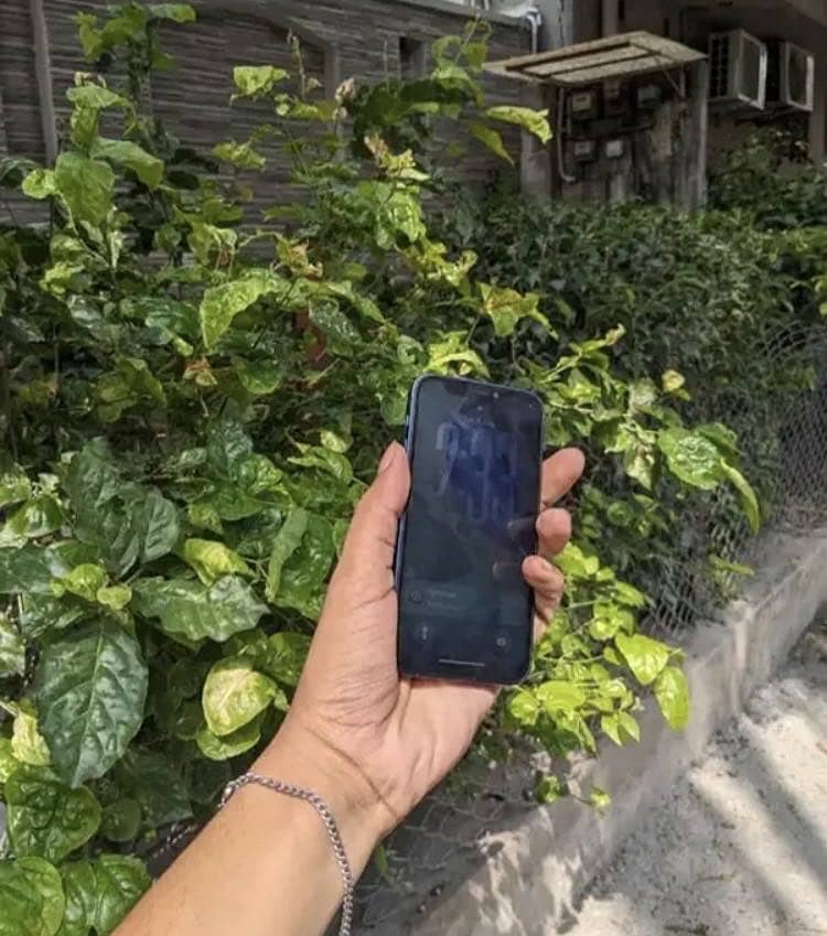 Apple iPhone 12 mini 1