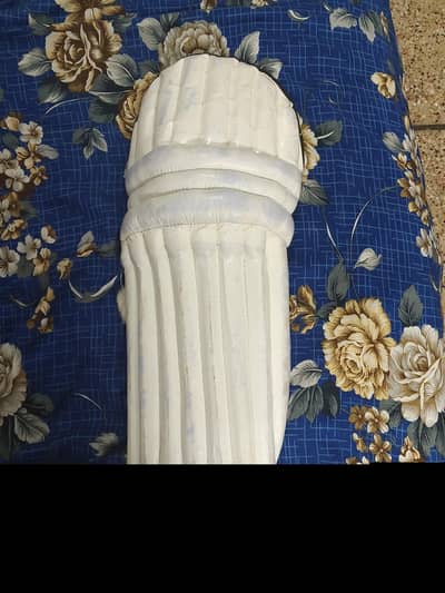 Used Cricket Kit with Keeping Gloves – Good Condition