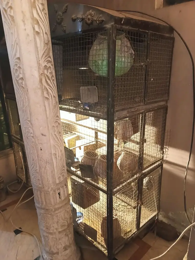 Jali thori kharab ha baki sab sai ha or nest box ka sath mila ga — photo 2