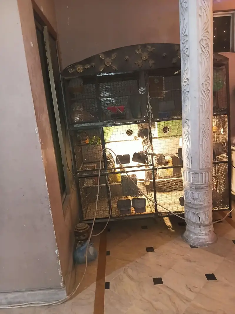 Jali thori kharab ha baki sab sai ha or nest box ka sath mila ga — photo 4