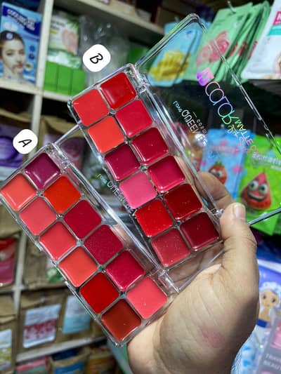 12 in 1 lip palette for Pakistani Bridemaids and office pros