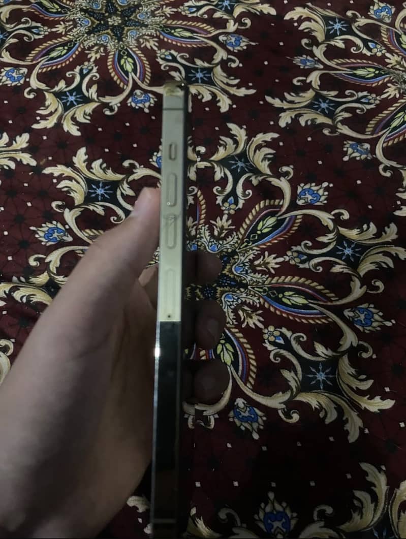 Apple iPhone 13 Pro Max 0