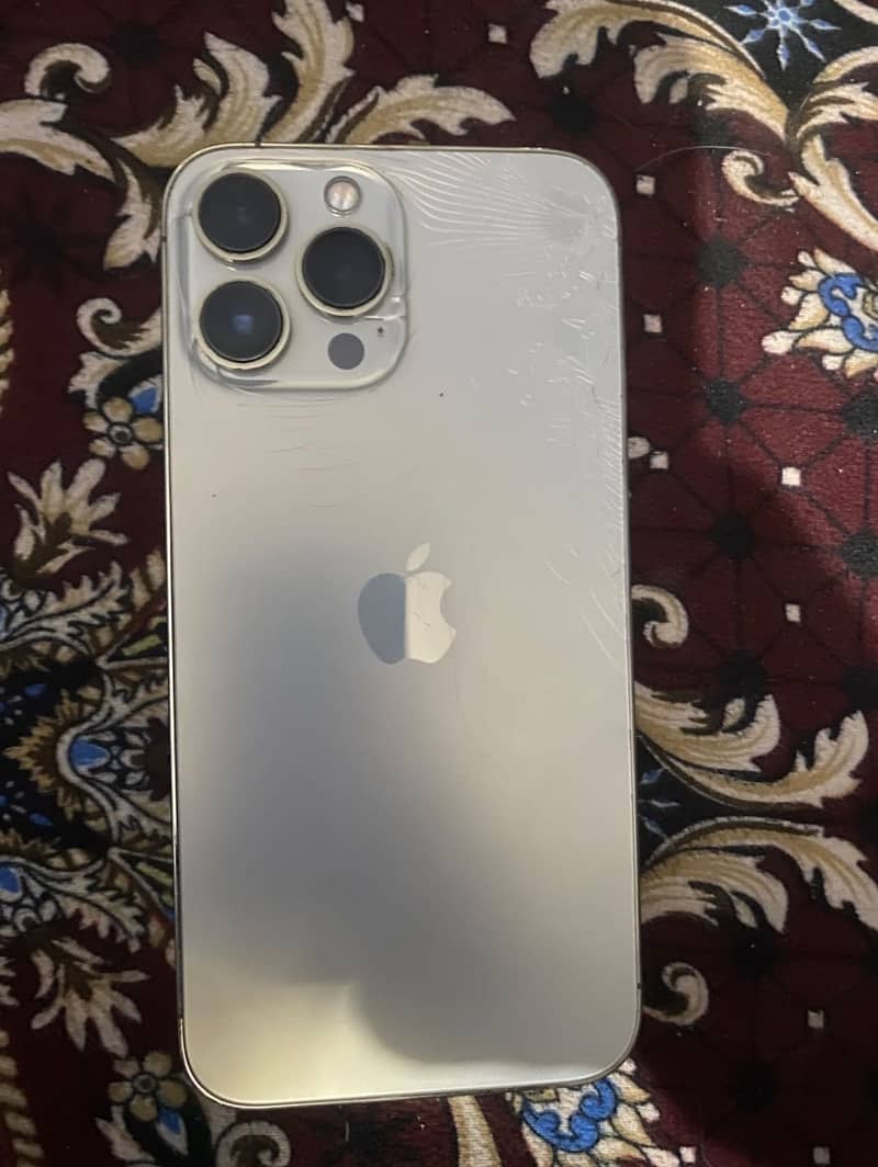 Apple iPhone 13 Pro Max 1