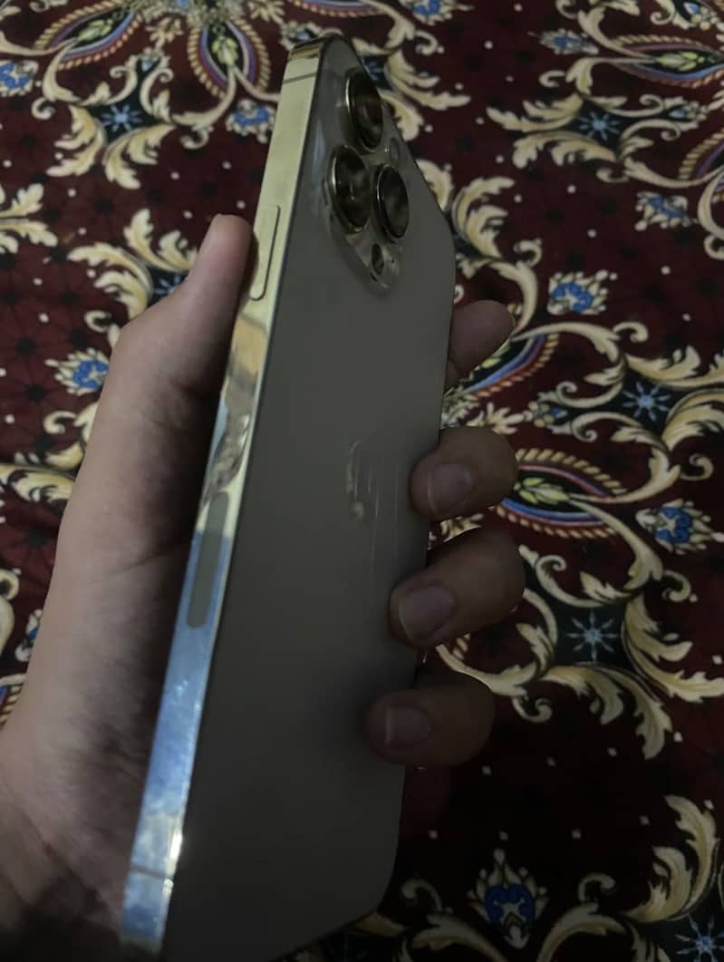 Apple iPhone 13 Pro Max 2
