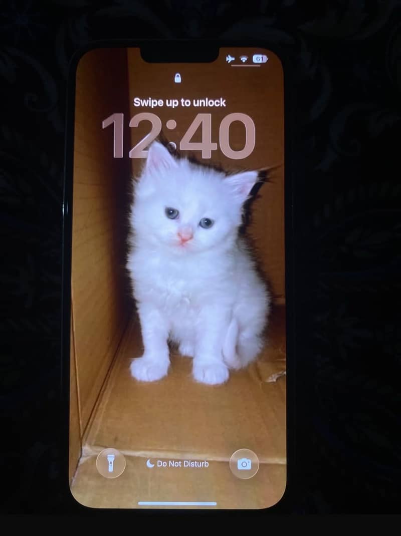Apple iPhone 13 Pro Max 3