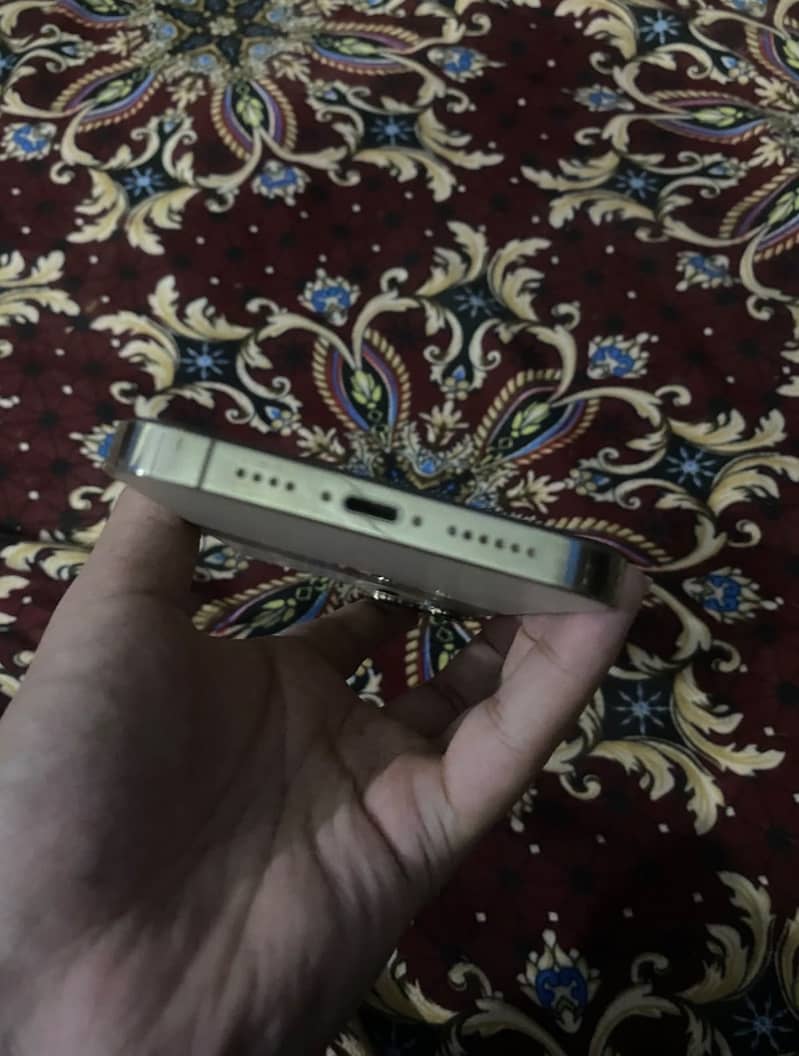 Apple iPhone 13 Pro Max 4