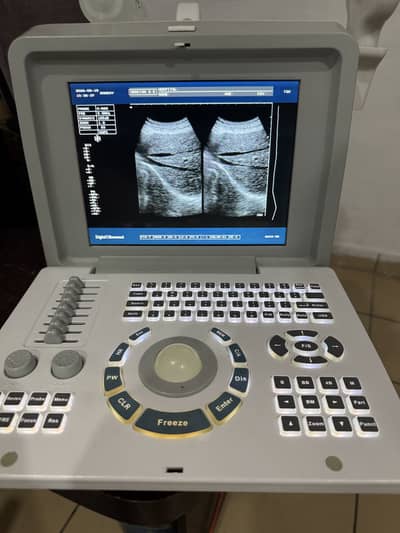 All types ultrasounds avalible