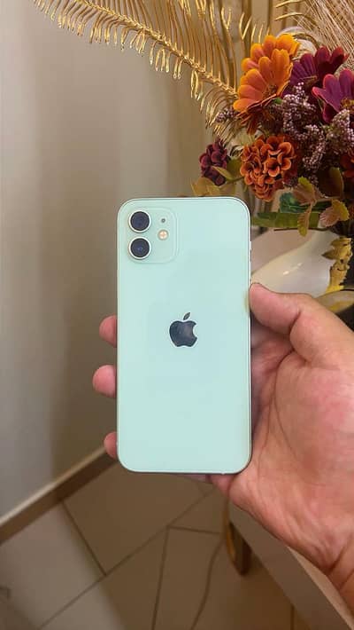 iPhone 12 PTA
