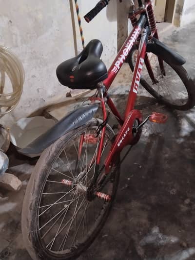 phoenix original cycle urgent sale