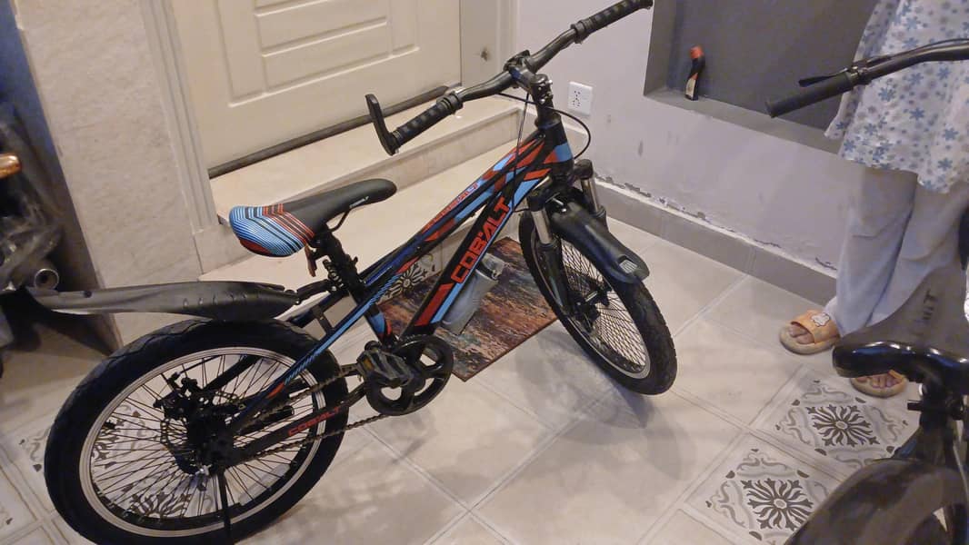 bicylce 1
