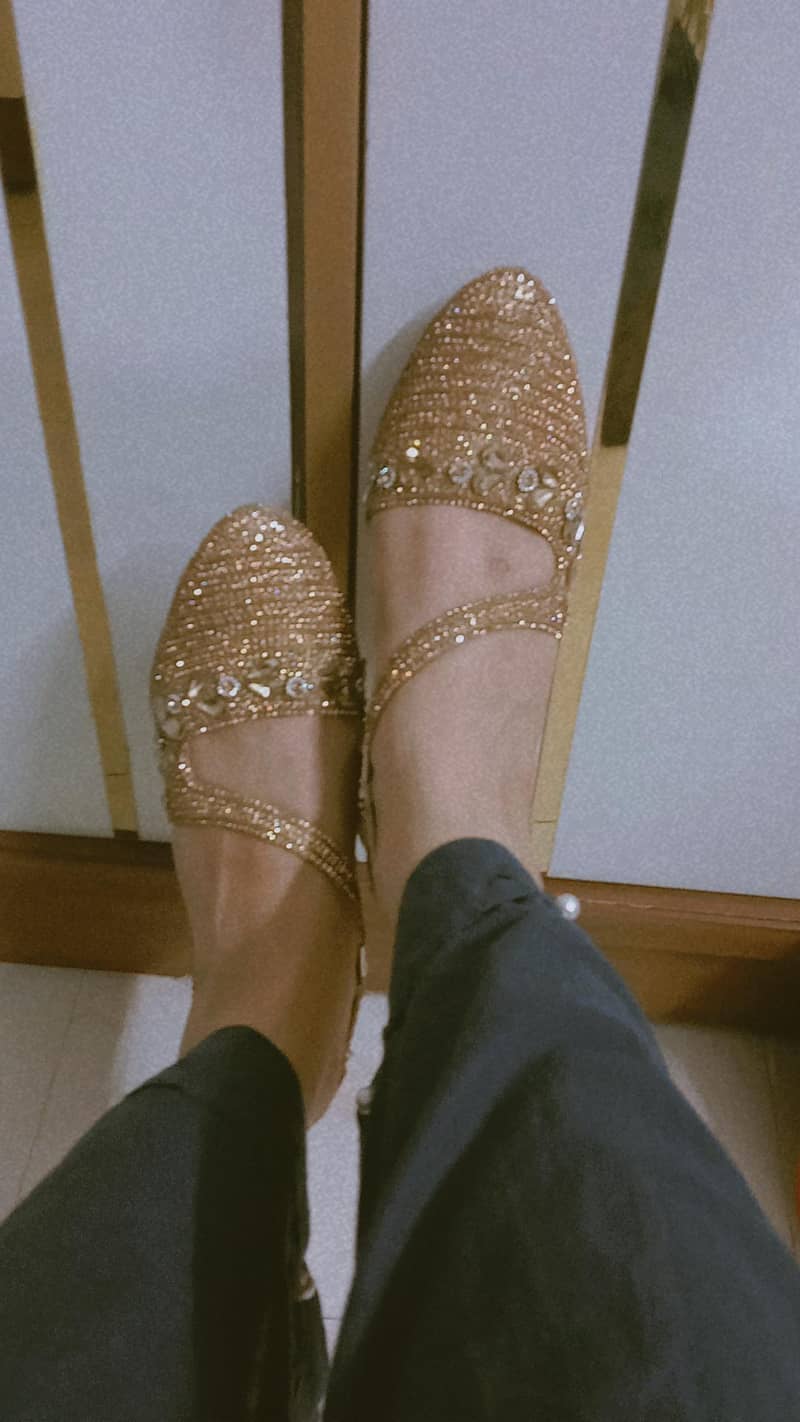 Fancy Heels 1