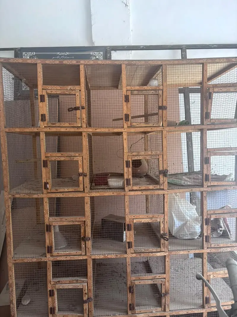 12 compartments Wooden bird cage