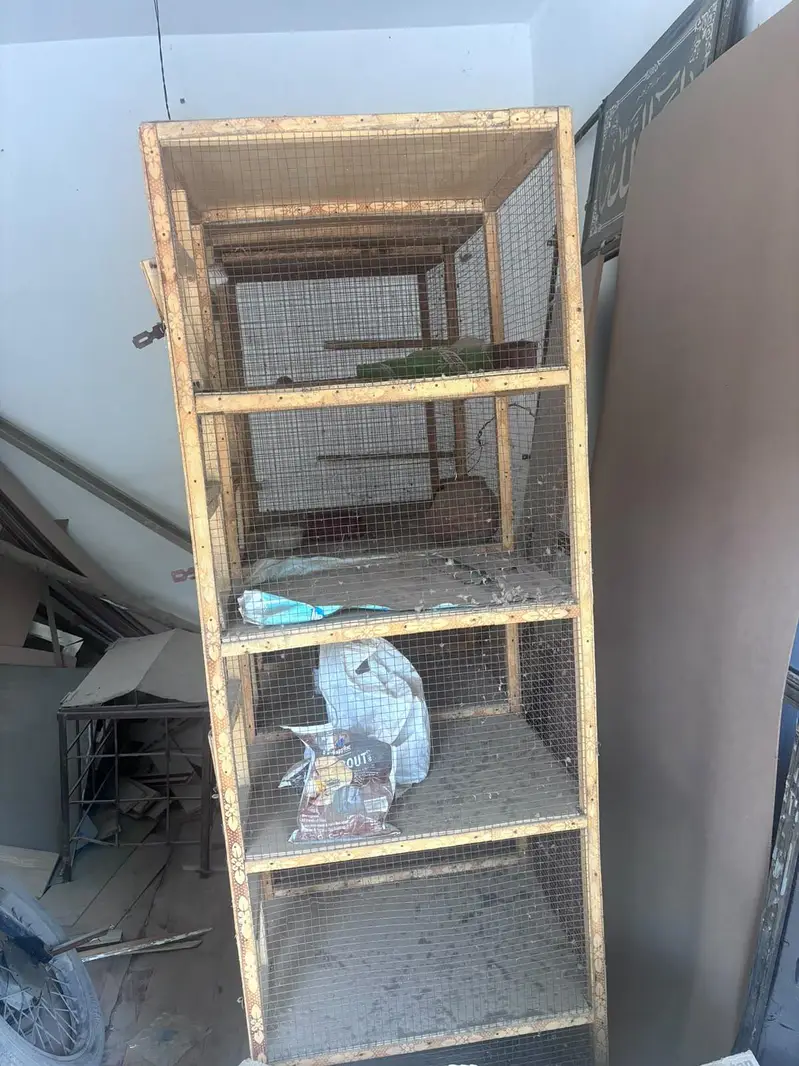 12 compartments Wooden bird cage — photo 2