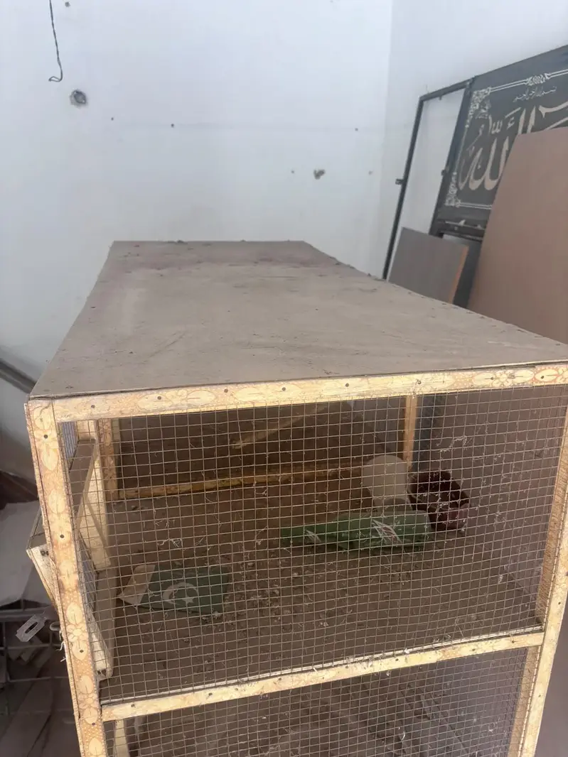 12 compartments Wooden bird cage — photo 3