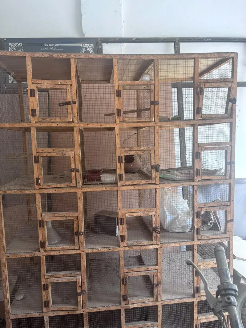 12 compartments Wooden bird cage — photo 4