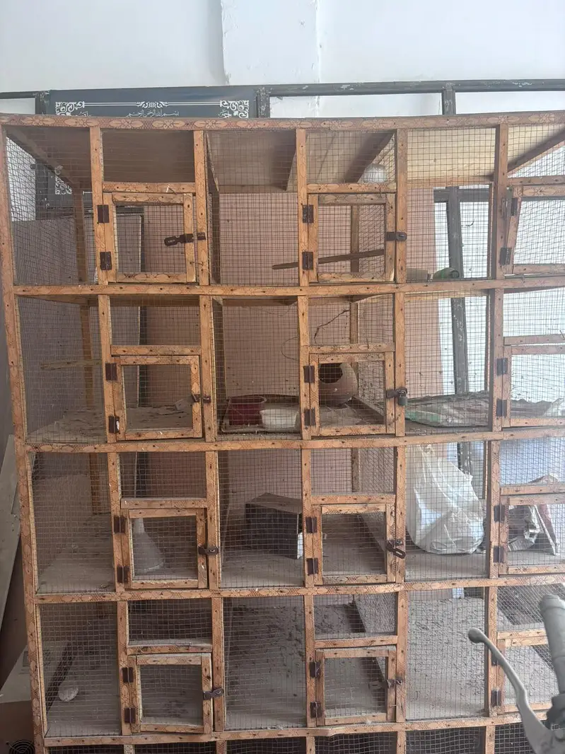 12 compartments Wooden bird cage — photo 5