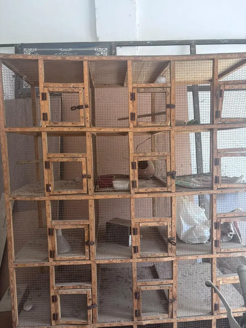 12 compartments Wooden bird cage — photo 6