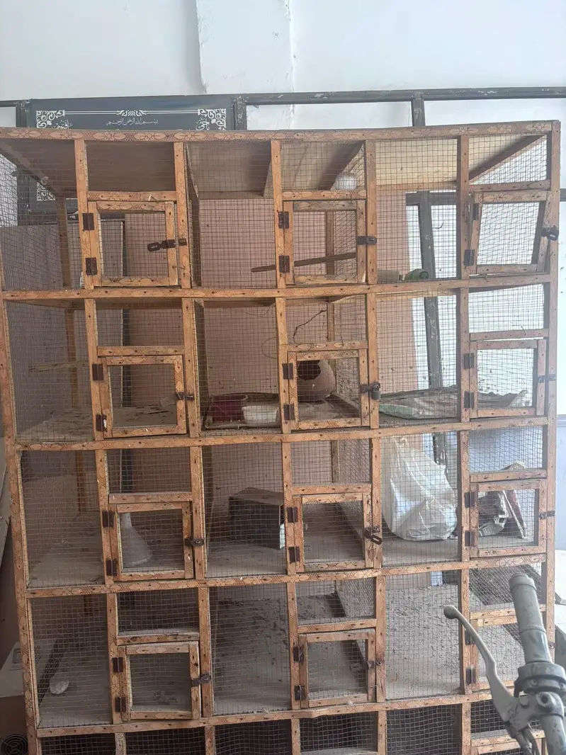12 compartments Wooden bird cage — photo 7