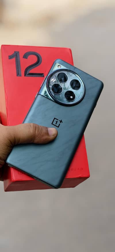one plus 12  global model 16.512