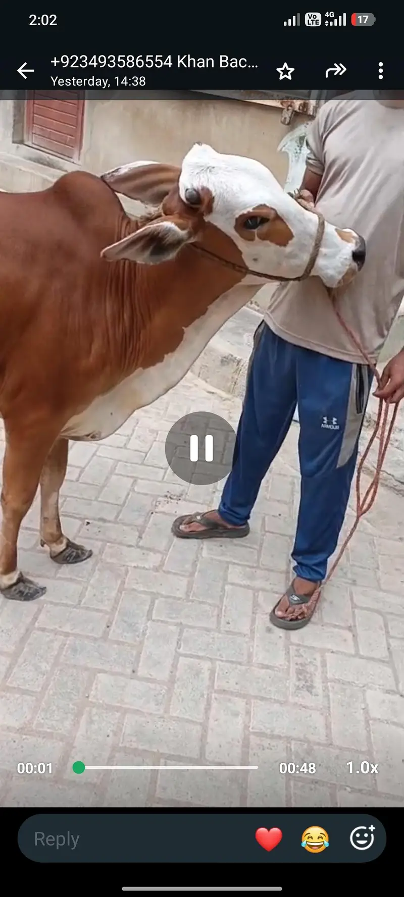 bachri bicholi fulk. gol /. lal abluck bachri — photo 4