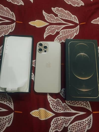 Apple iPhone 12 Pro Max