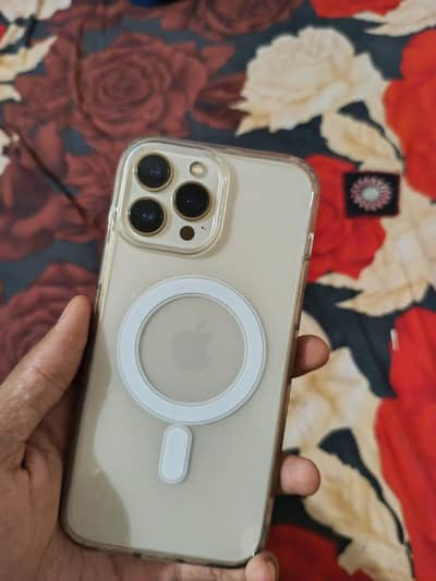 Apple iPhone 13 Pro Max