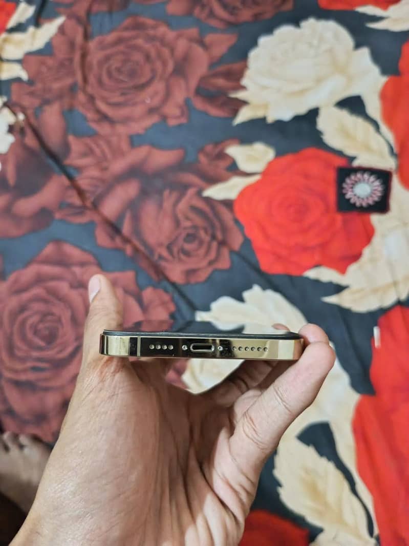 Apple iPhone 13 Pro Max 1
