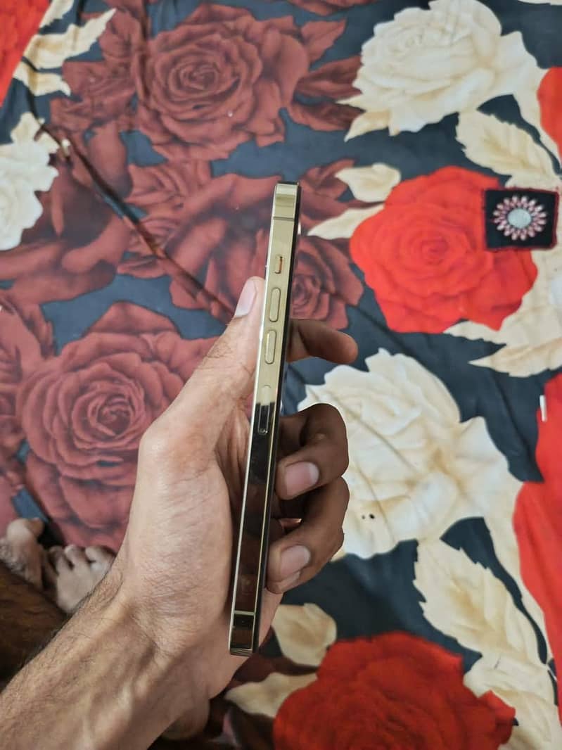 Apple iPhone 13 Pro Max 2