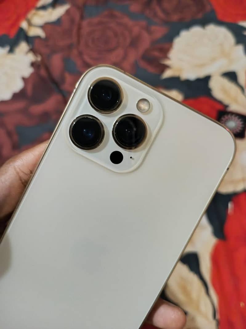 Apple iPhone 13 Pro Max 5