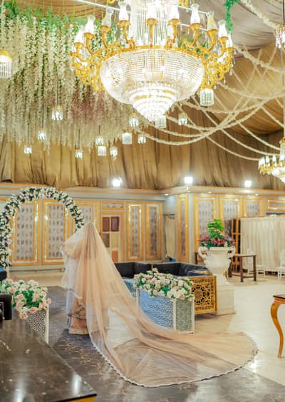 Beautiful Nikah Bridal Veil / Dupatta
