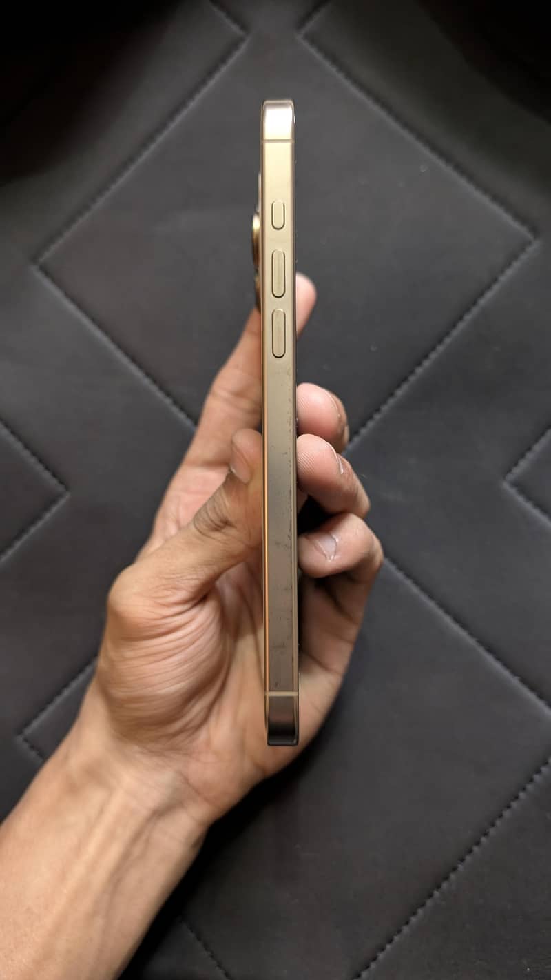 Apple iPhone 16 Pro Max 1