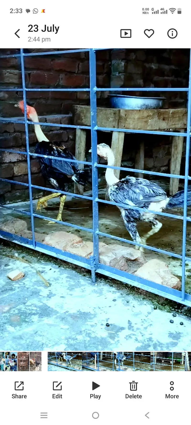 ganoyi and vet cross patha pathiyaan — photo 5