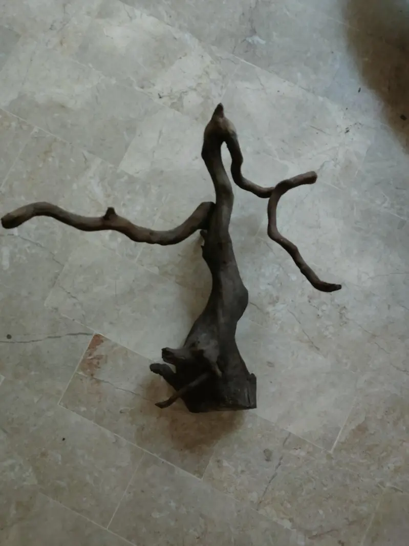 driftwood for aquarium — photo 2