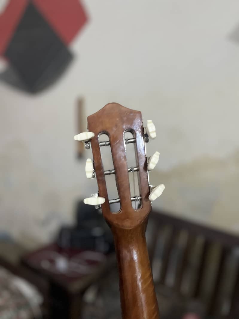 Guitar 5