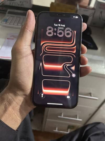 Apple iPhone 12 Pro Max