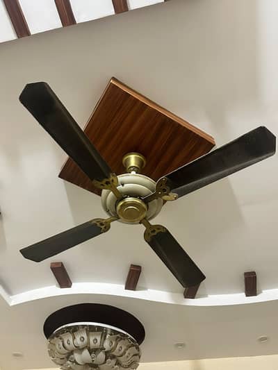 4Blade Good Condition Fan