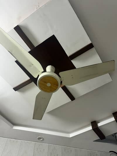 GFC Fan Used
