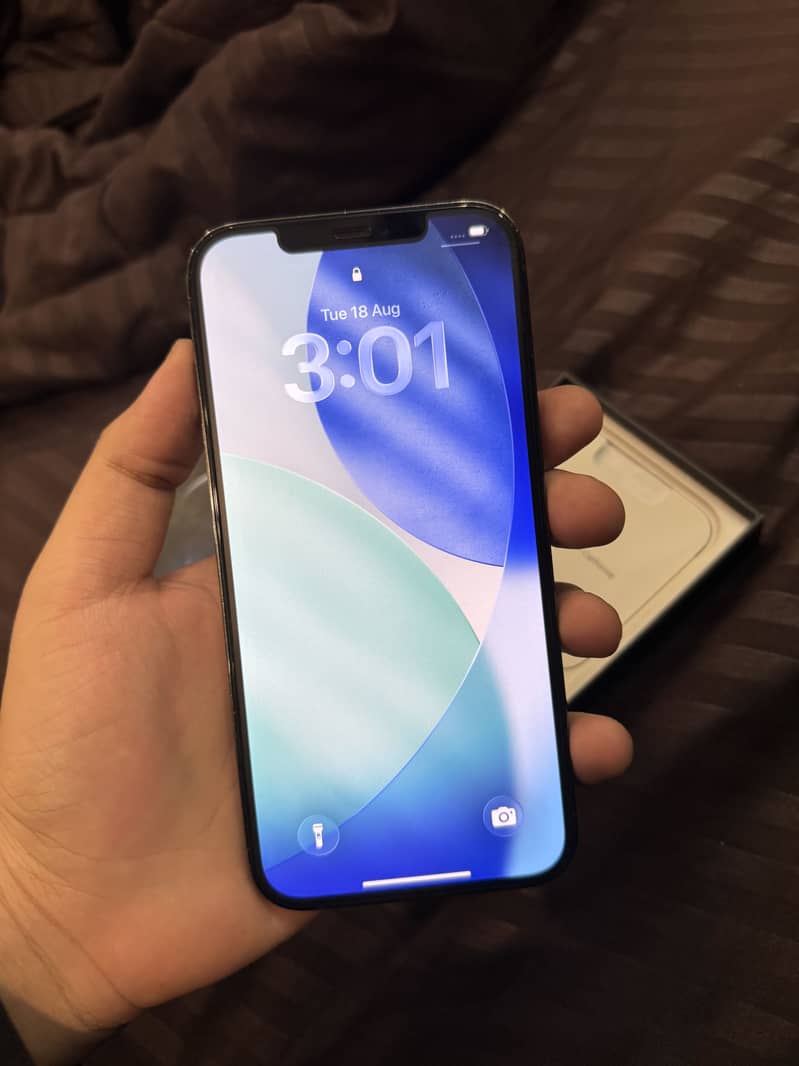 Apple iPhone 12 Pro Max 3