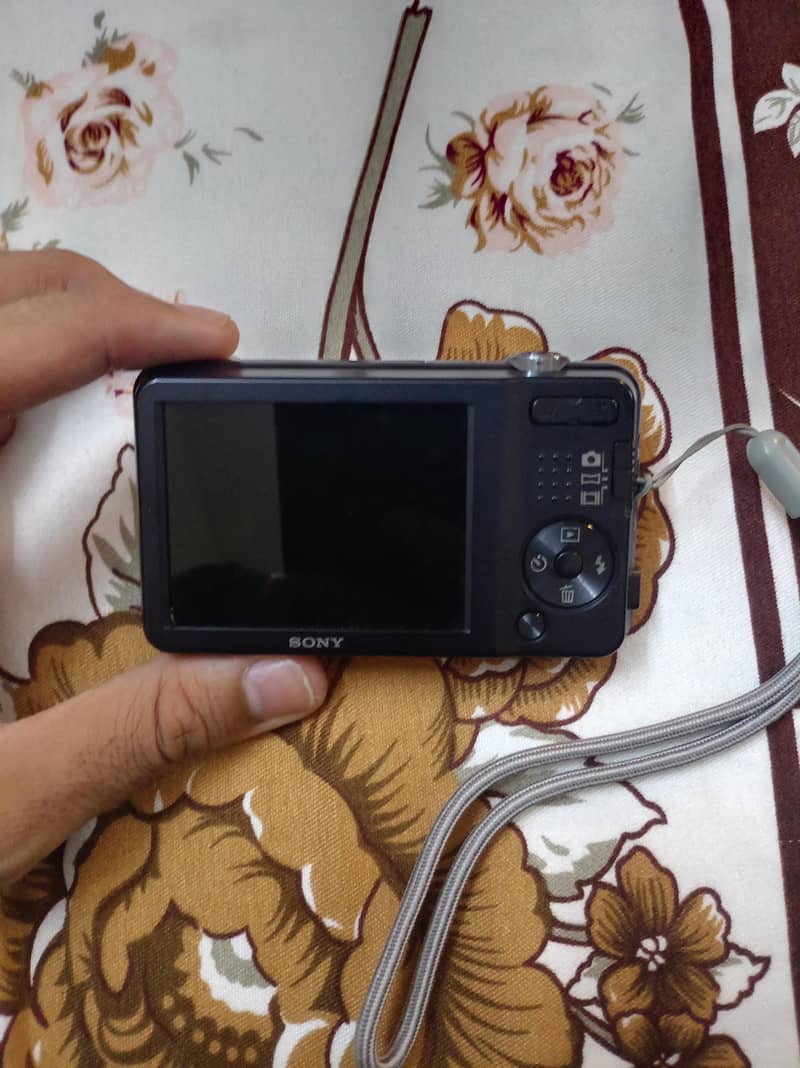 Sony Digital Camera 1