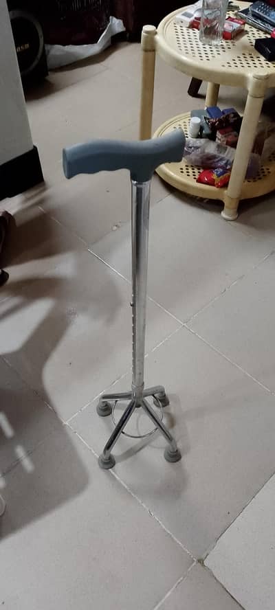 walking stick