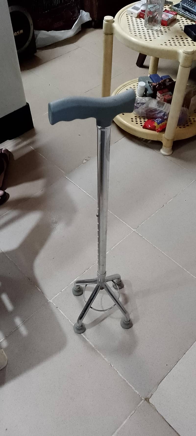 walking stick 1