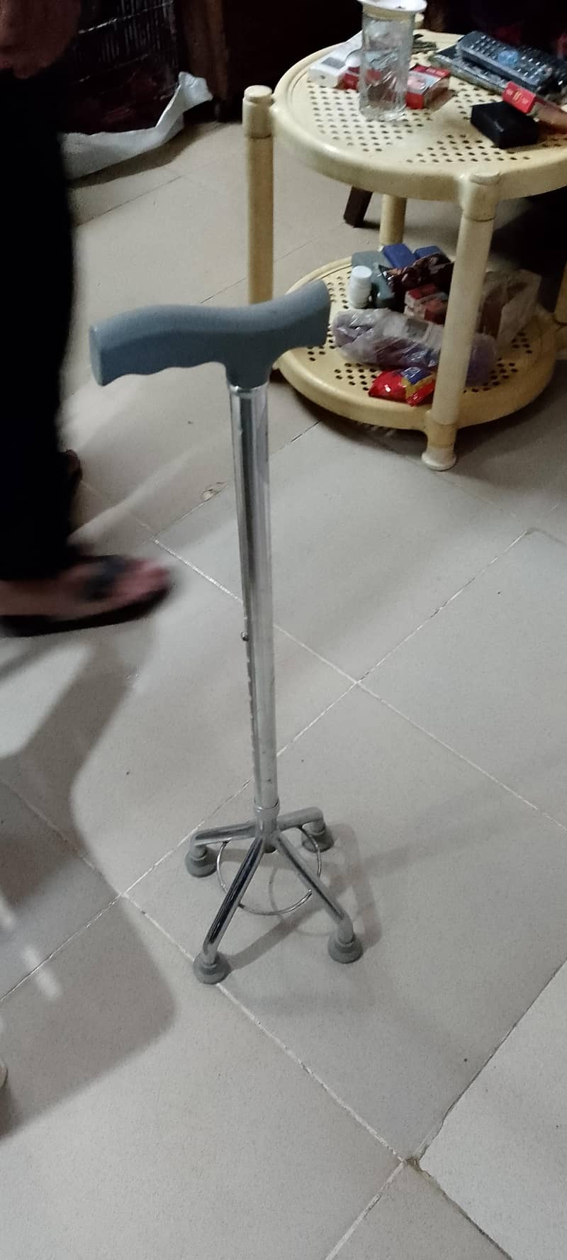 walking stick 2