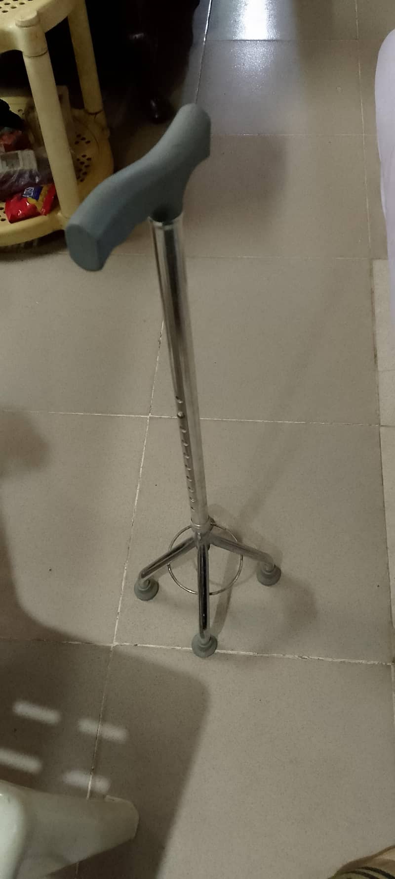 walking stick 3