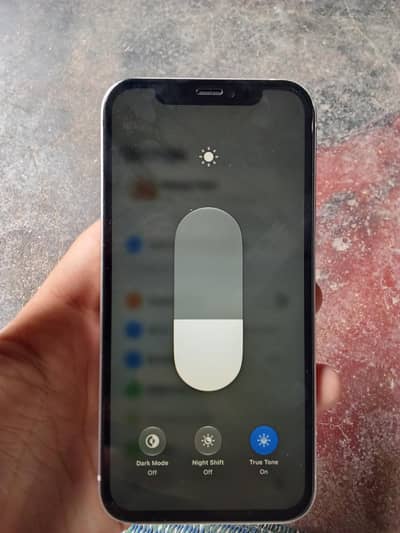 Apple iPhone 12