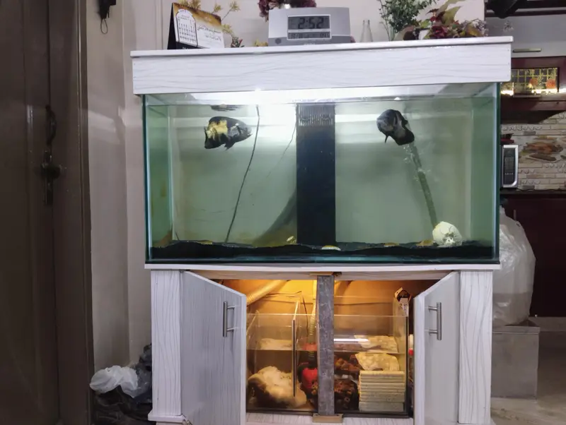 Fish Aquarium — photo 2