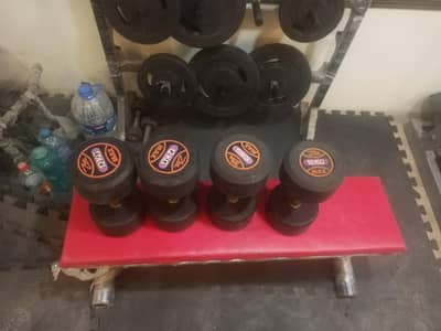 home Gym Setup