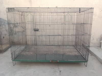 Neat & clean birds cage 2 box option front & back