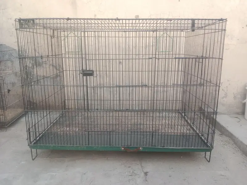 Neat & clean birds cage 2 box option front & back