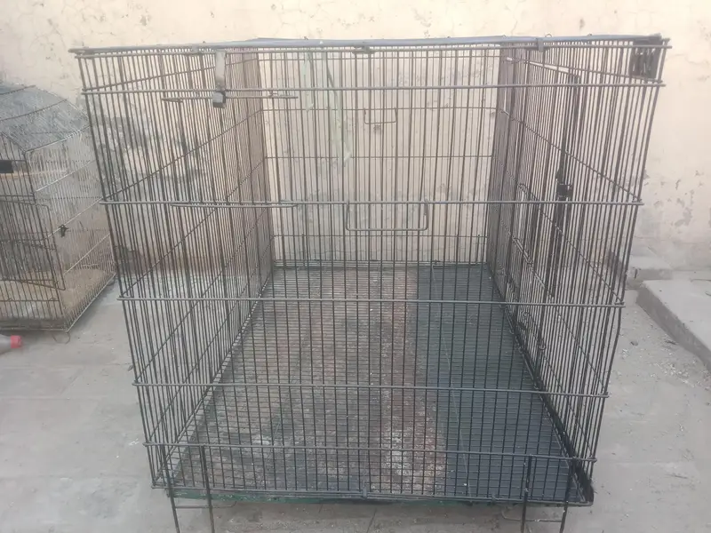 Neat & clean birds cage 2 box option front & back — photo 2