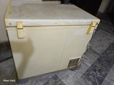 waves Freezer for sale